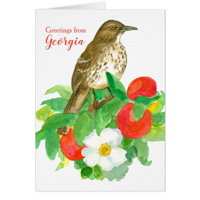 Saludos desde Georgia Brown Thrasher Blank (Frente)