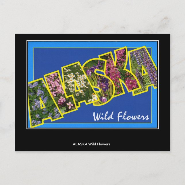 Saludos desde la postal antigua de Alaska (Anverso)