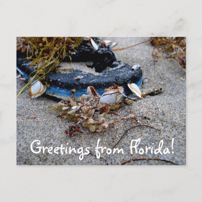 Saludos desde la postal de Florida (Anverso)