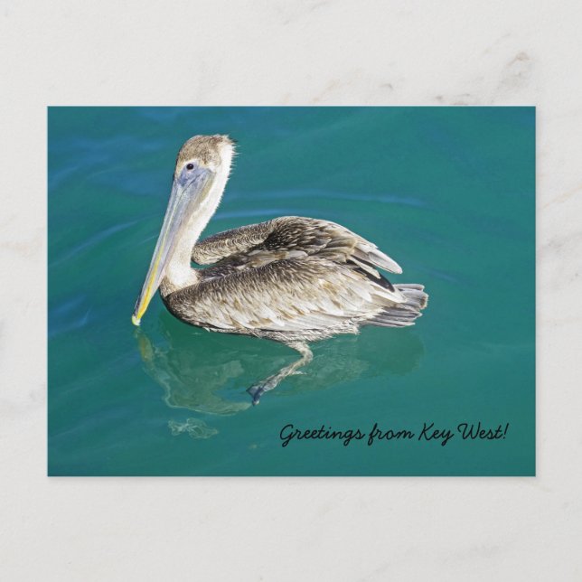 Saludos desde la postal de Key West (Anverso)