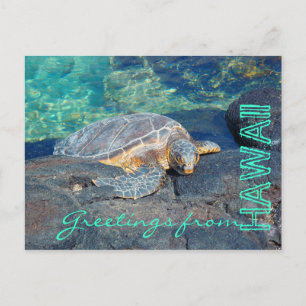 Saludos desde la postal de la tortuga brillante de
