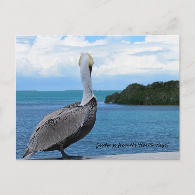 Saludos desde la postal de los Cayos de Florida (Anverso)