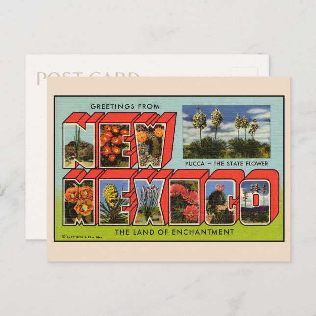 Saludos desde la postal de Nuevo México (Anverso / Reverso)
