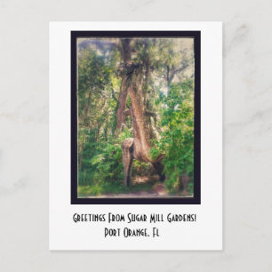 Saludos desde la postal de Sugar Mill Gardens