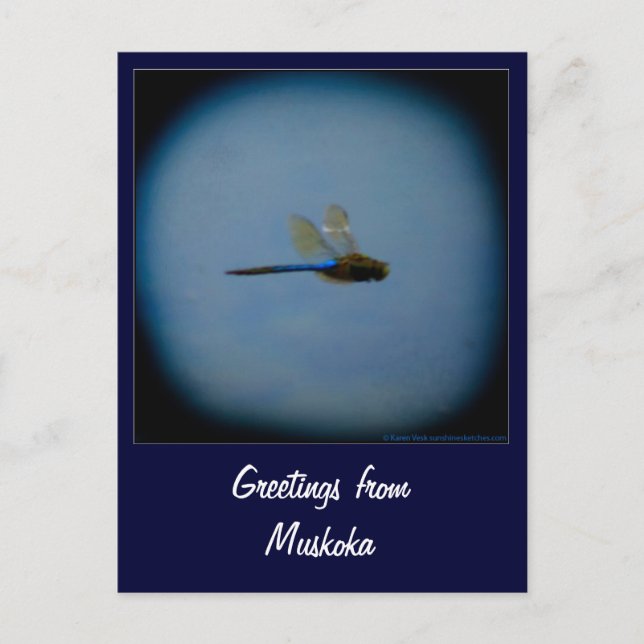 Saludos desde la postal de Vacaciones por país (Anverso)