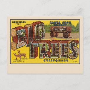 Saludos desde la tarjeta postal grande de Santa Cr