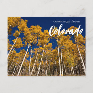 Saludos desde postal de árboles de Aspen Colorado 