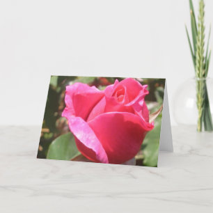 Saludos dulces de flores rosadas de bud o tarjetas