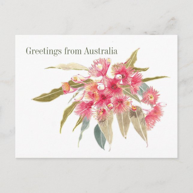 Saludos florales desde la tarjeta postal de Austra (Anverso)
