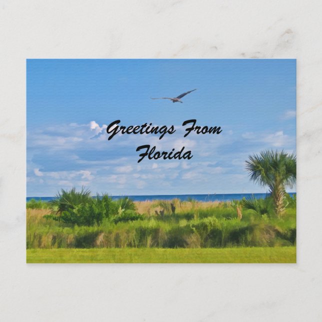 Saludos, Florida, postal (Anverso)