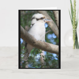 Saludos Kookaburra de Australia con tarjeta de fel