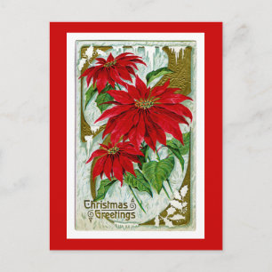 Saludos Pointsettia del navidad