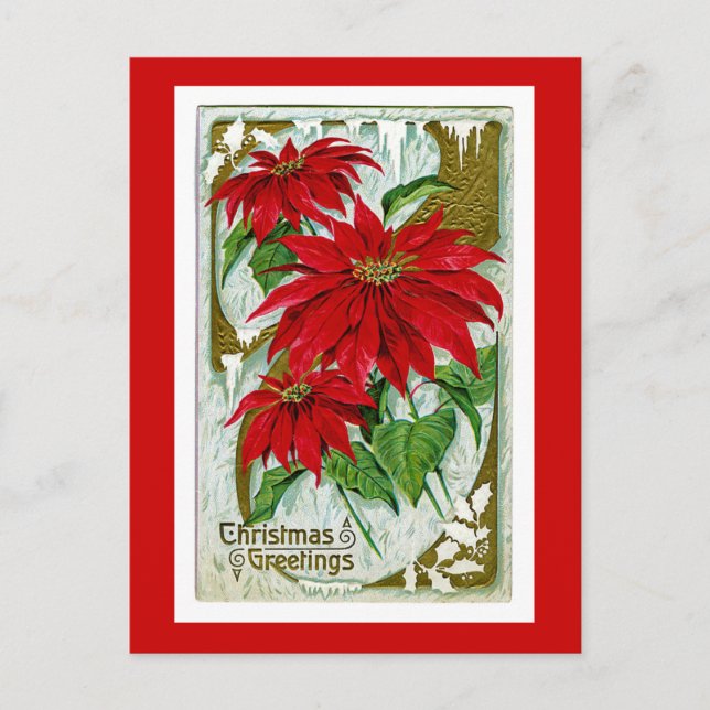 Saludos Pointsettia del navidad (Anverso)