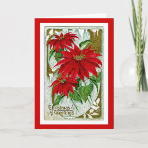 Saludos Pointsettia del navidad