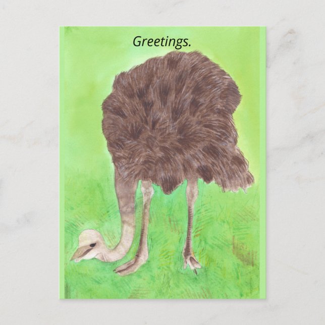 Saludos, Su Texto, Postales De Ostrich (Anverso)