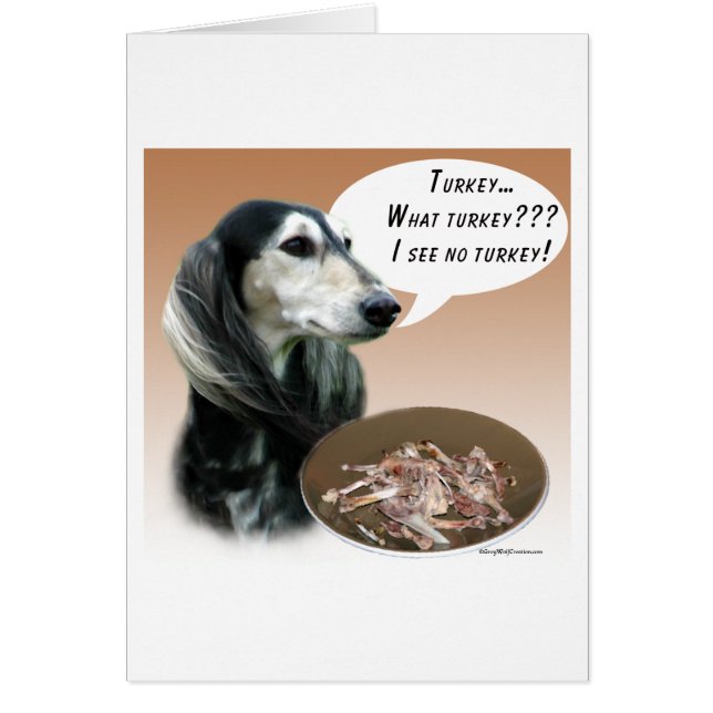 Saluki Turkey (Frente)