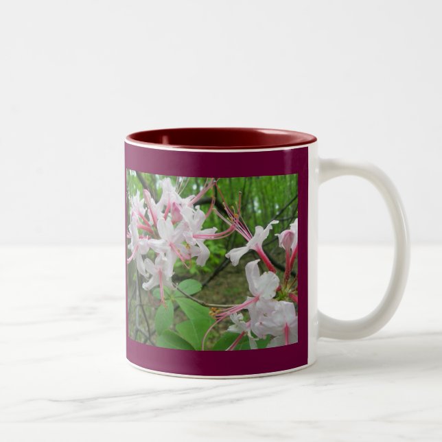 Salvaje Azalea 11 Oz. Jarra (Derecha)