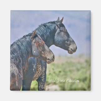 Salvaje y libre, imán