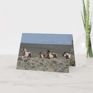 Salvajes tarjetas de felicitación para caballos - 