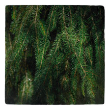 Árbol de abeto verde oscuro de temporada