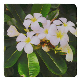 Salvamanteles Frangipanis (Plumeria) en Tahití