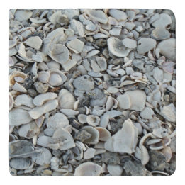 Salvamanteles Patrón de piedra con conchas de costa