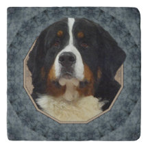 Perro de montaña de Bernese Trivet de piedra