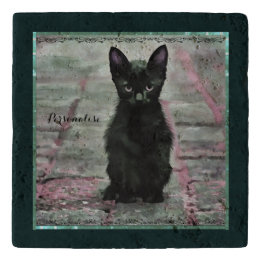 Salvamanteles Piedra rústica rosada verde de gato negro lindo