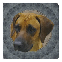 Rhodesian Ridgeback Trivet de piedra clásico