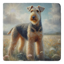 Terrier de Airedale