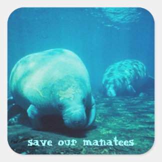 Salvar a nuestros Pegatinas de Manatees