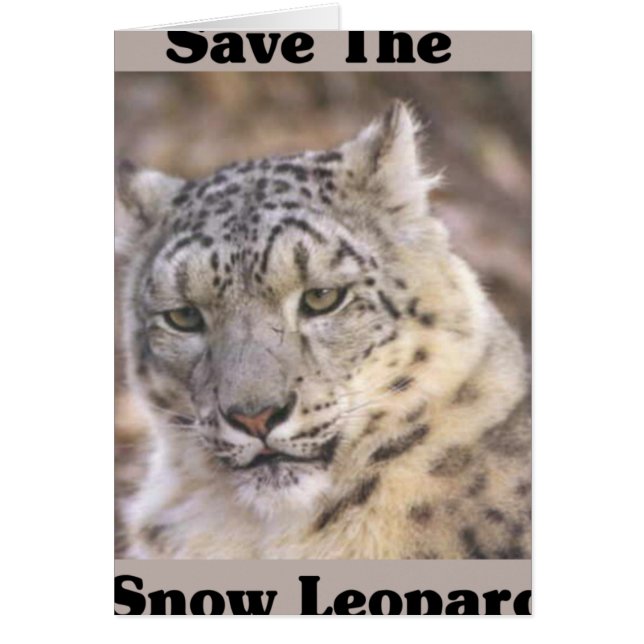 Salvar al leopardo de las nieves (Frente)
