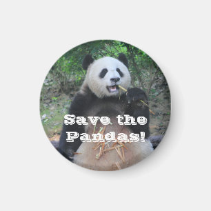 Salvar los pandas gigantes imán