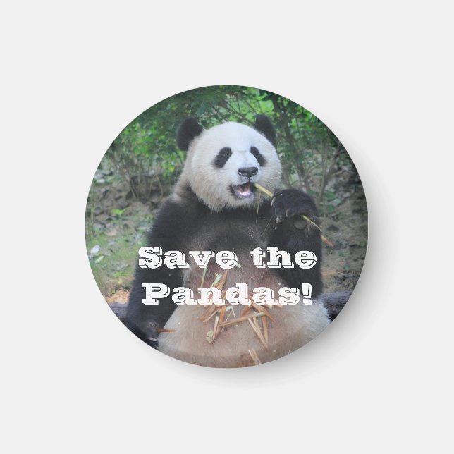 Salvar los pandas gigantes imán (Frente)