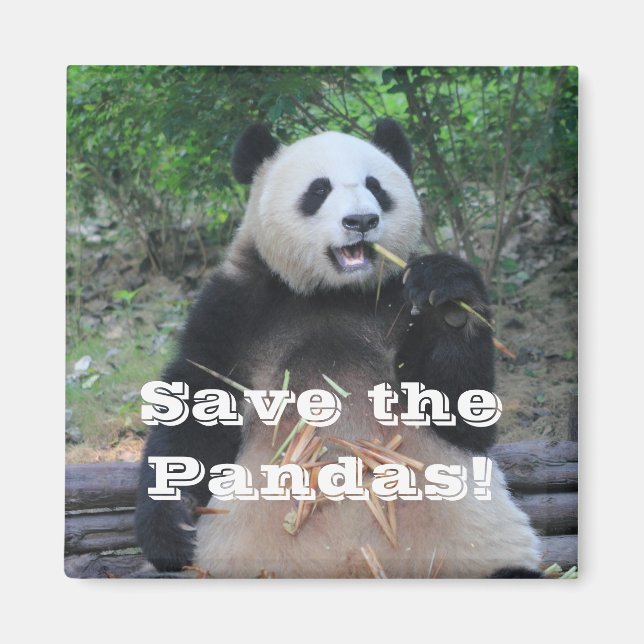 Salvar los pandas gigantes imán (Frente)