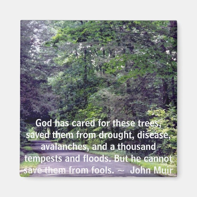 Salvarnos de los tontos - imán (Frente)