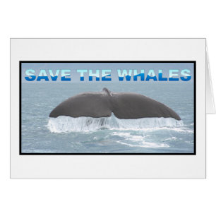 Salven a las ballenas
