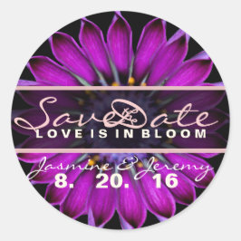 Salven a los Pegatinas de las flores silvestres de