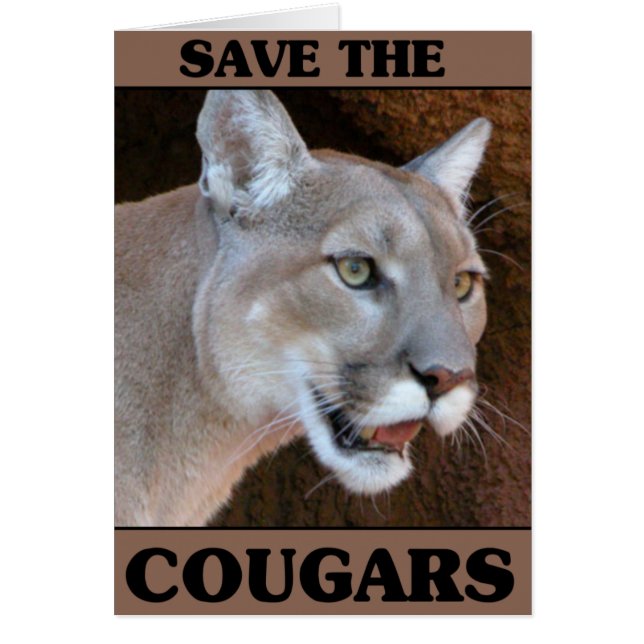 Salven al Cougar (Frente)