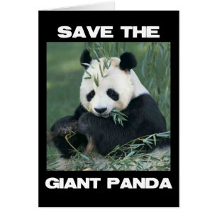 Salven el gigante Panda