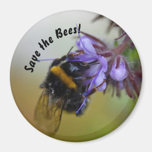 "¡Salven las abejas!" Imán