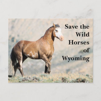 Salven los salvajes caballos de la postal Wyoming