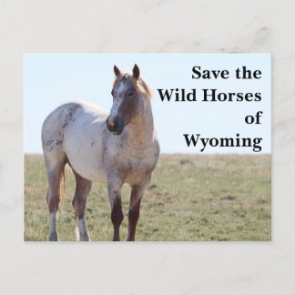 Salven los salvajes caballos de la postal Wyoming