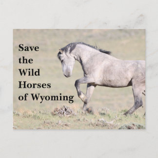 Salven los salvajes caballos de la postal Wyoming