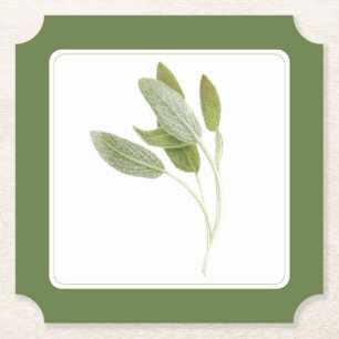 SALVIA FRESCO Posavasos de papel para entradas (-t