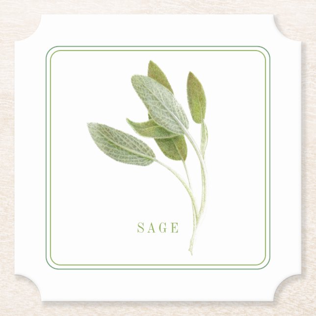 SALVIA FRESCO Posavasos de papel para entradas (+t (Anverso)