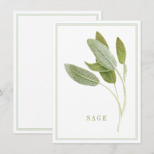 SALVIA FRESCO Tarjeta plana 4.5x6.25