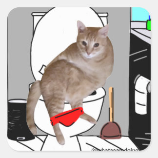 Sam Le Cat Privacy Please Pegatinas