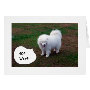 ¡SAMOYED NO PUEDE CREERTE 40! ¡WOOF!