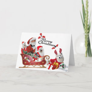 Samoyed y Santa en tarjetas de Sleigh